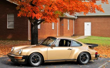 Porsche 911 turbo - golden autumn