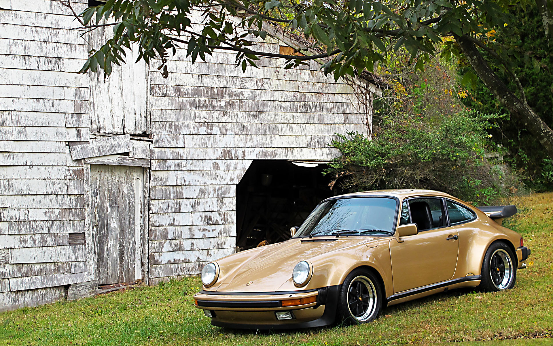 Porsche 930 - golden autumn